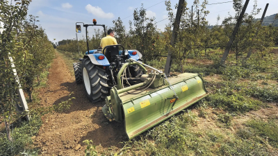 Фото Трактор NEW HOLLAND — TDF65F