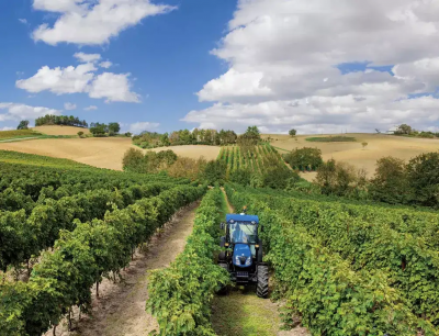 Фото Трактор NEW HOLLAND — T4.95F